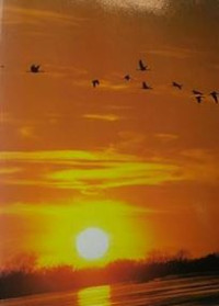 Ecosystems, Energy, Population