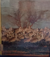 Biology : The Unity And Diversity Of Life