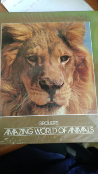 Amazing World Of Animal