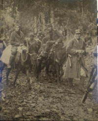 Perang Dunia II : Partisan dan Gerilyawan